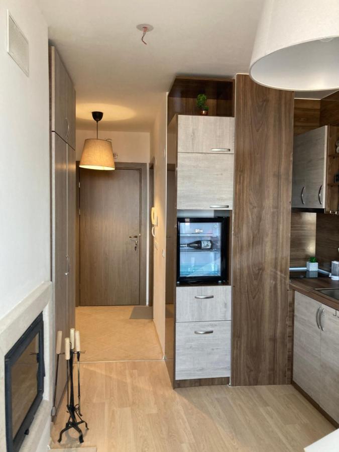 Mirabell Studio Bansko - Amazing View & Fireplace Екстер'єр фото